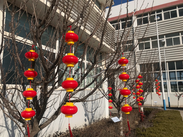 烟台拼搏体育化工恭祝大家2021牛年行大运